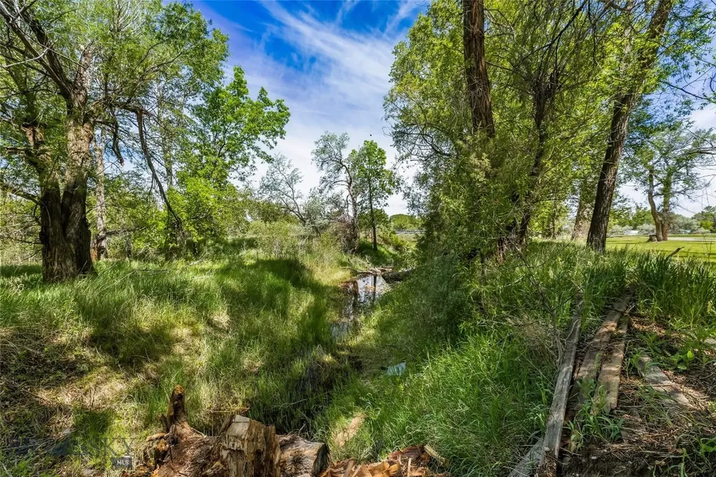 9TH St Island Drive Livingston MT 59047