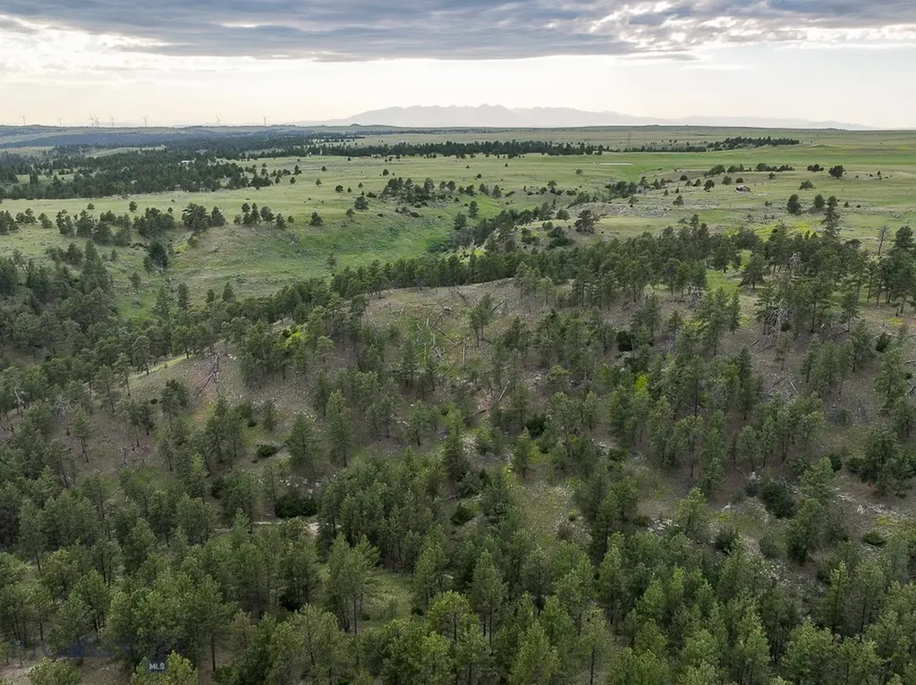504 Stephens Hill Road Reed Point MT 59069