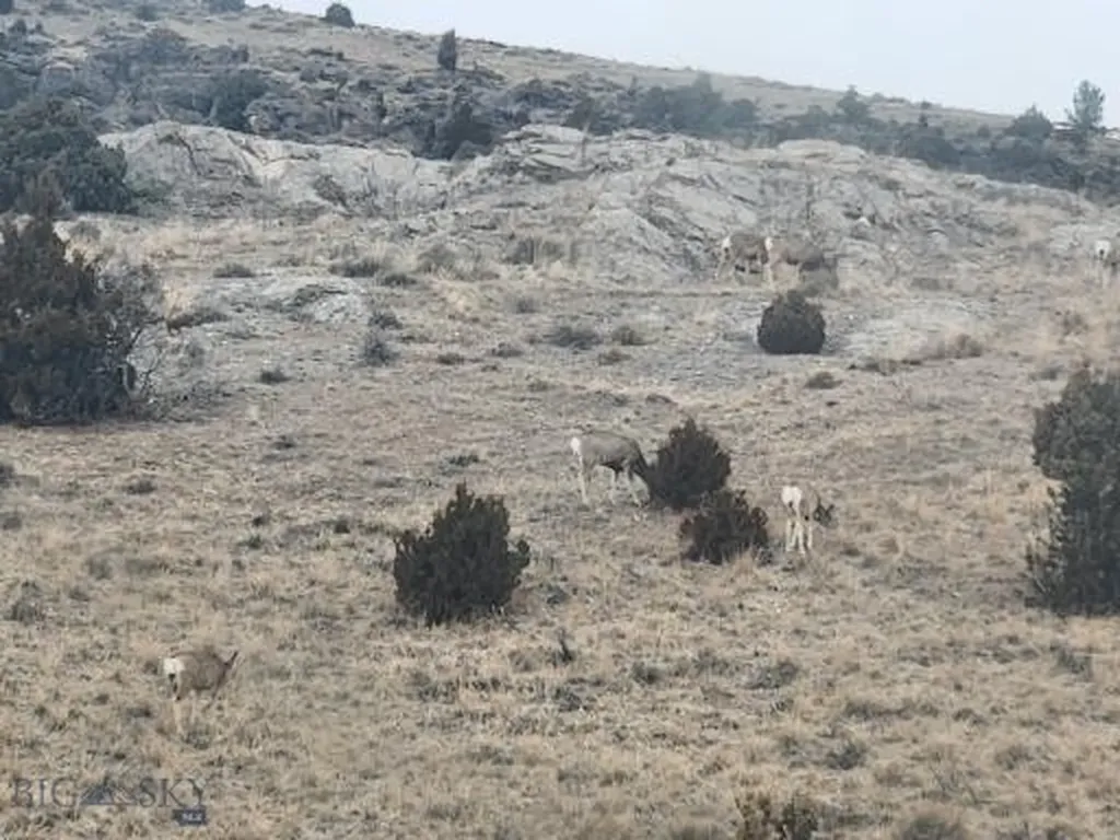 Tbd - Parcel 2 Bradley Creek Road Norris MT 59745