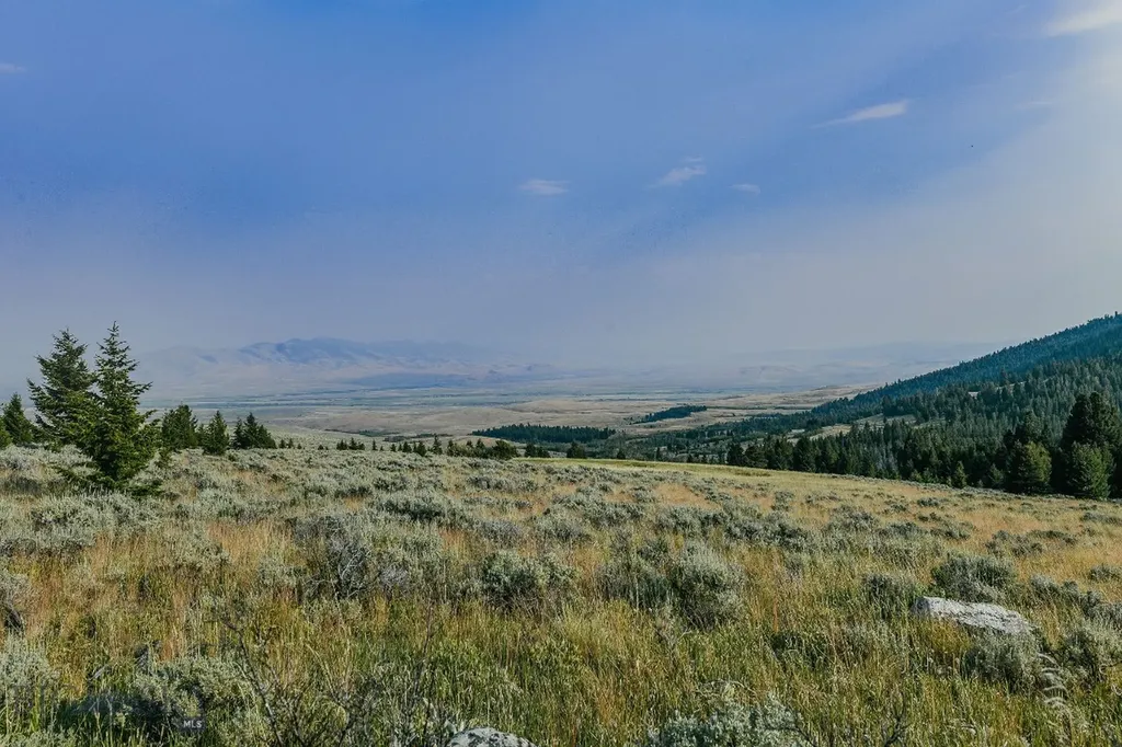 Dillon MT 59725