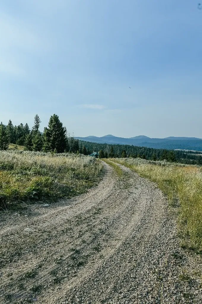 Dillon MT 59725