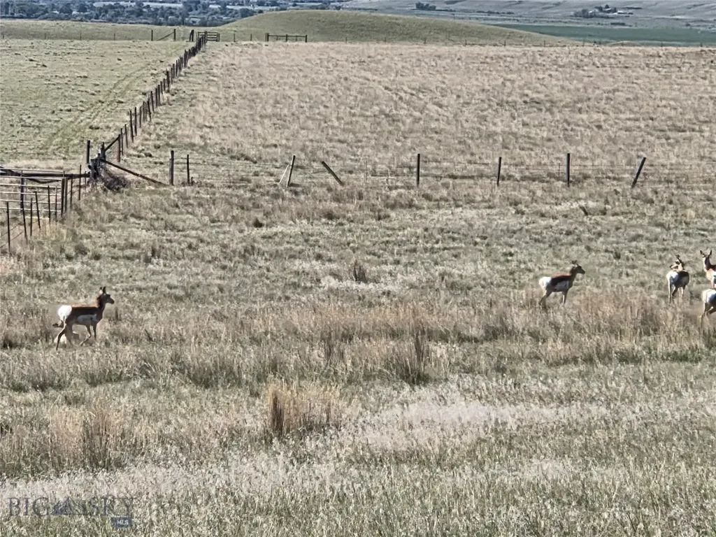 60 Acres Raghorn Court Ennis MT 59729