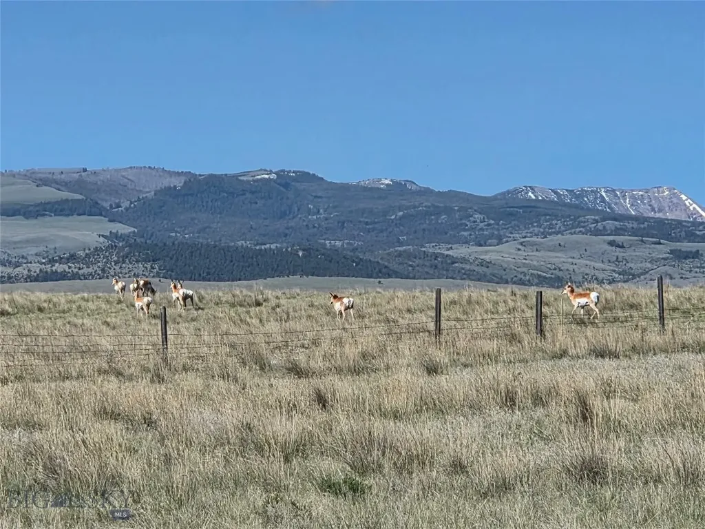 60 Acres Raghorn Court Ennis MT 59729
