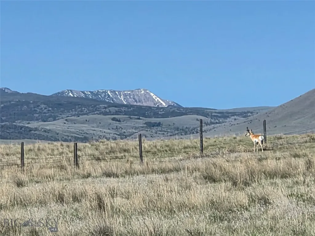 60 Acres Raghorn Court Ennis MT 59729