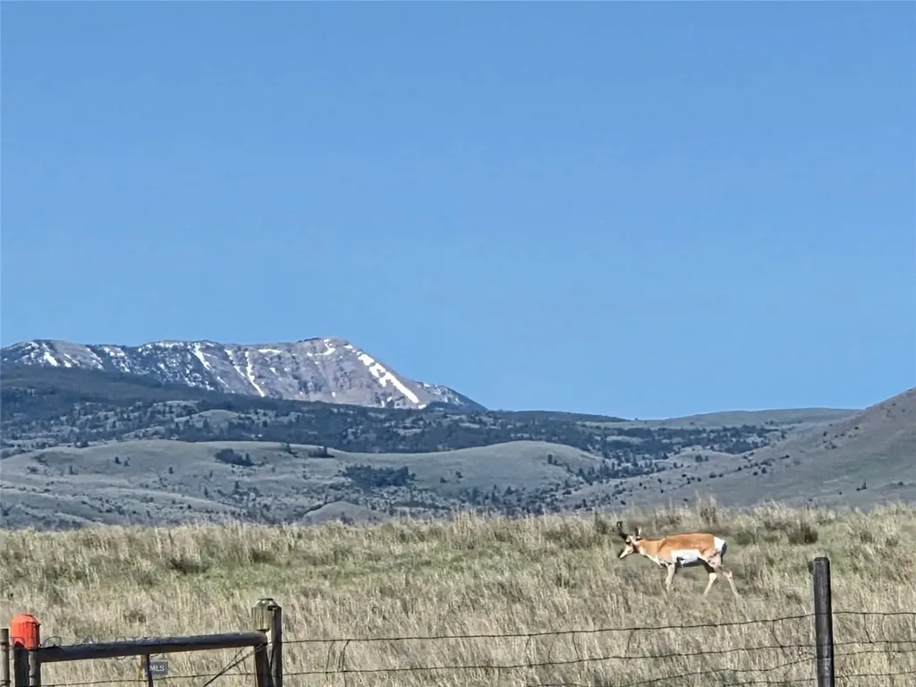 60 Acres Raghorn Court Ennis MT 59729