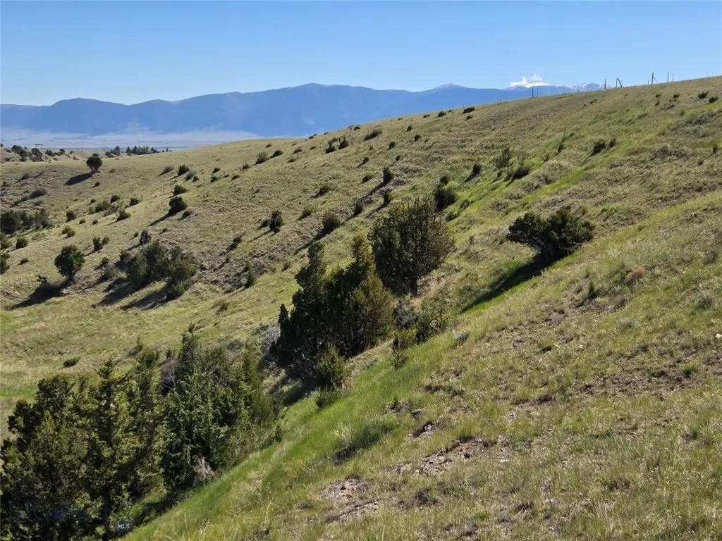 60 Acres Raghorn Court Ennis MT 59729