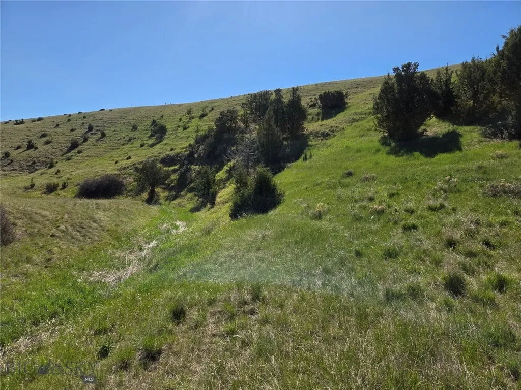 60 Acres Raghorn Court Ennis MT 59729