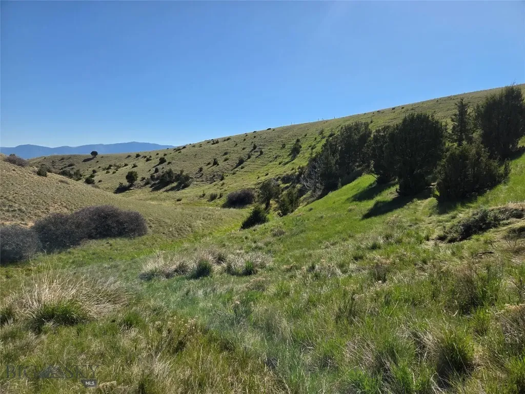 60 Acres Raghorn Court Ennis MT 59729