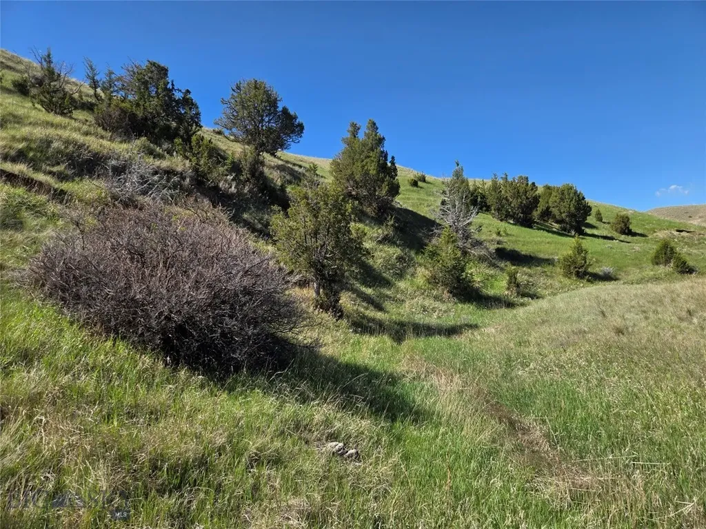 60 Acres Raghorn Court Ennis MT 59729