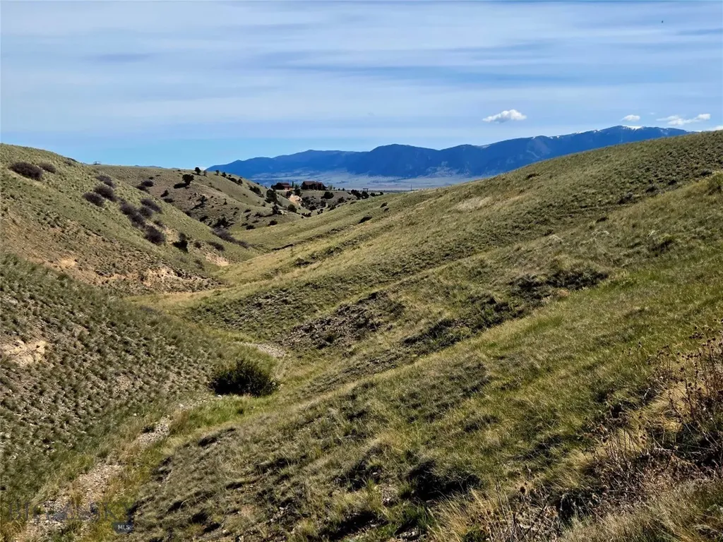 60 Acres Raghorn Court Ennis MT 59729