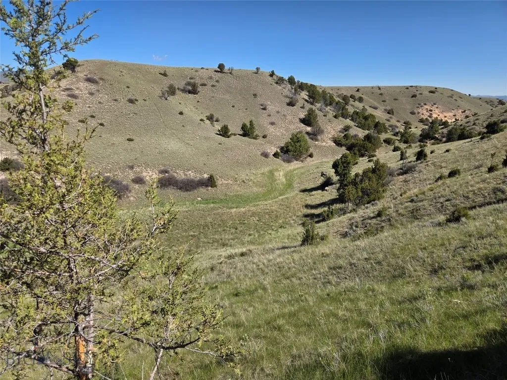 60 Acres Raghorn Court Ennis MT 59729