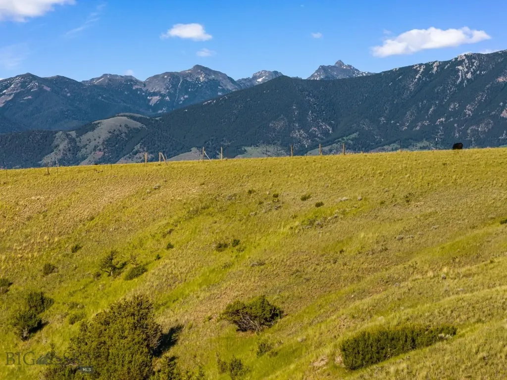 60 Acres Raghorn Court Ennis MT 59729