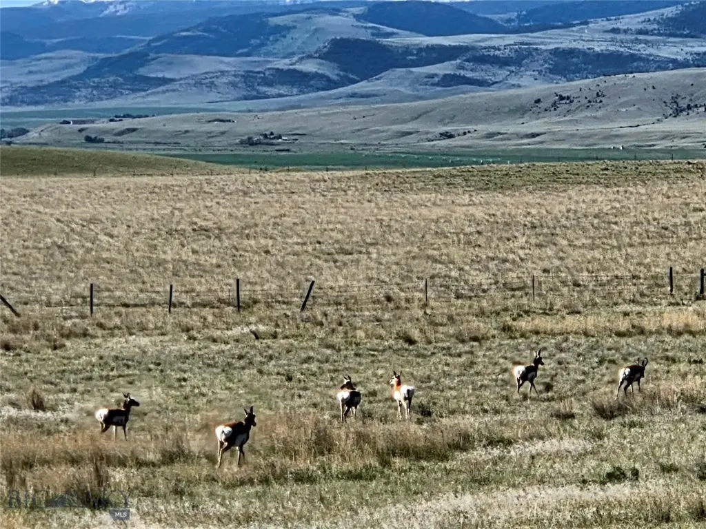 60 Acres Raghorn Court Ennis MT 59729