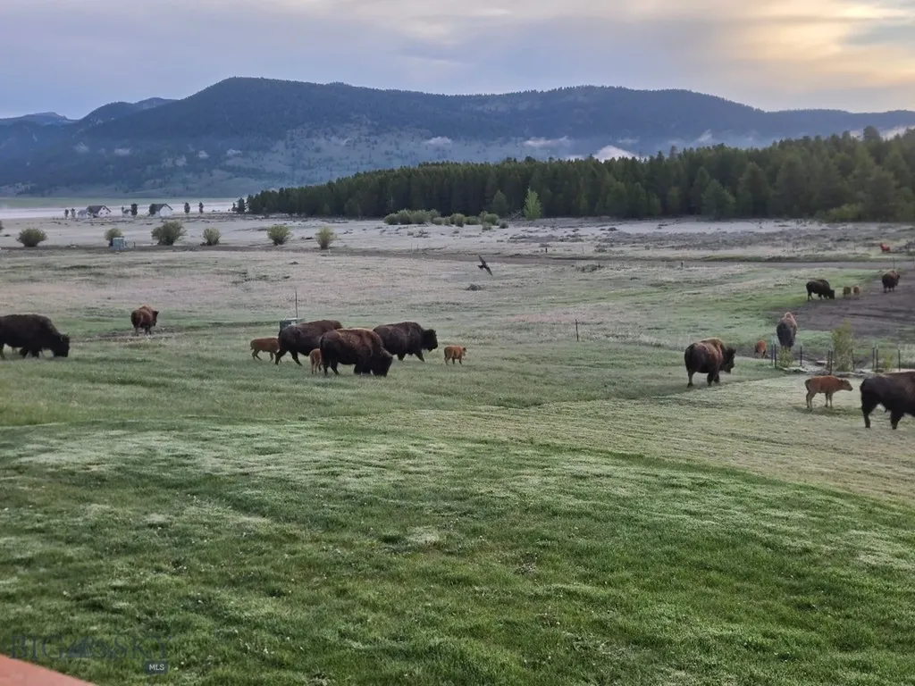 356 Buffalo Drive West Yellowstone MT 59758