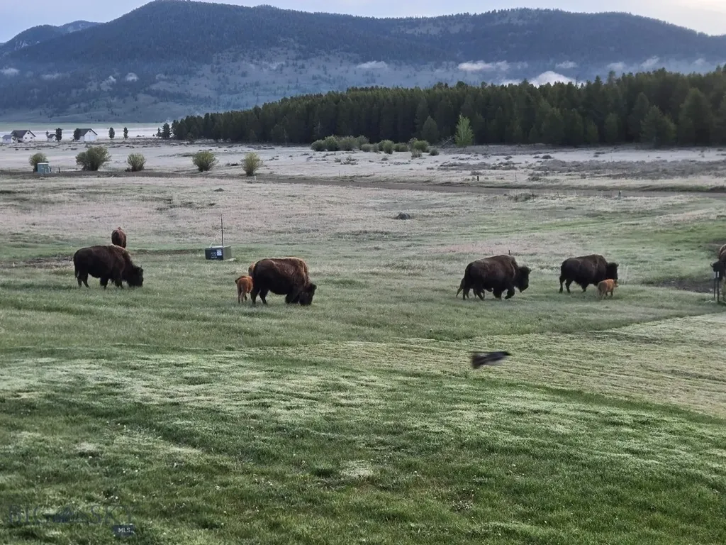 356 Buffalo Drive West Yellowstone MT 59758