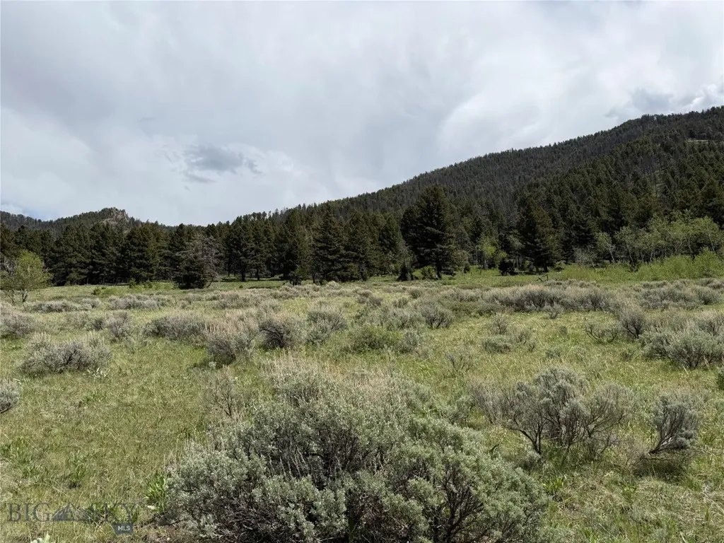 Parcel 2 & 4a Continental Divide Road Cameron MT 59720