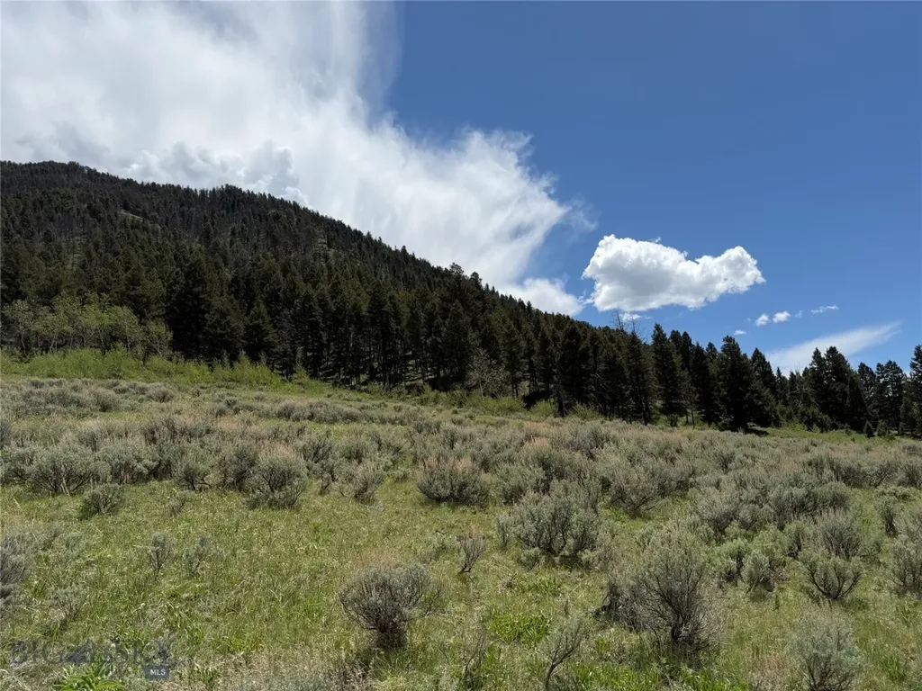 Parcel 2 & 4a Continental Divide Road Cameron MT 59720