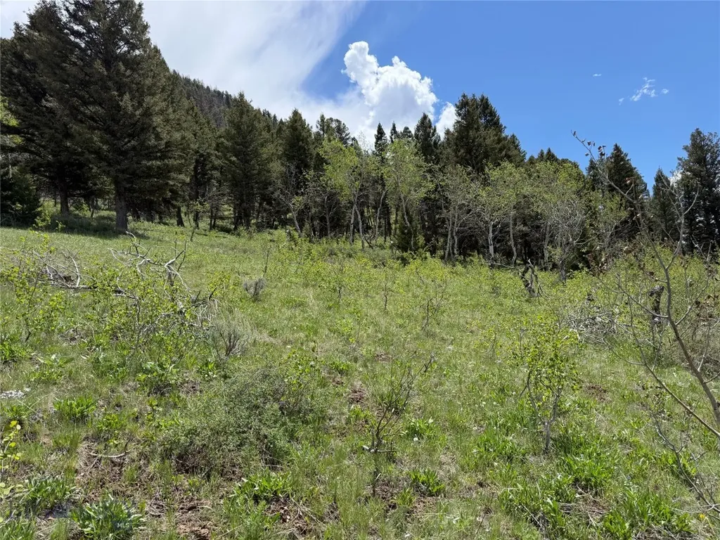 Parcel 2 & 4a Continental Divide Road Cameron MT 59720