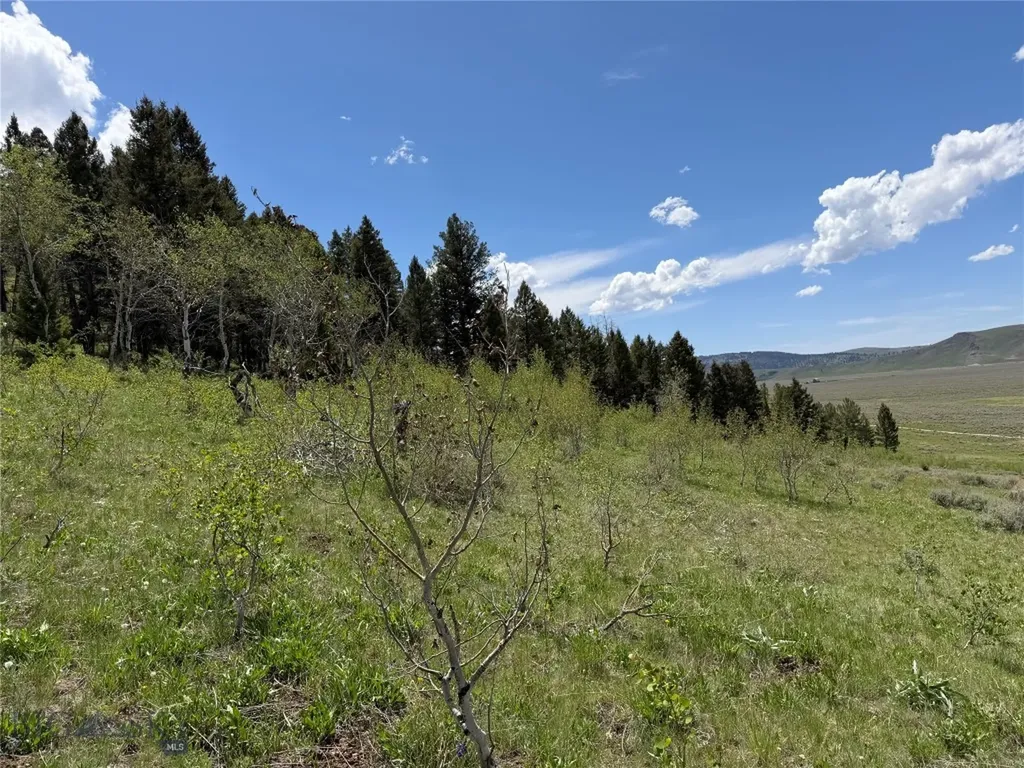 Parcel 2 & 4a Continental Divide Road Cameron MT 59720