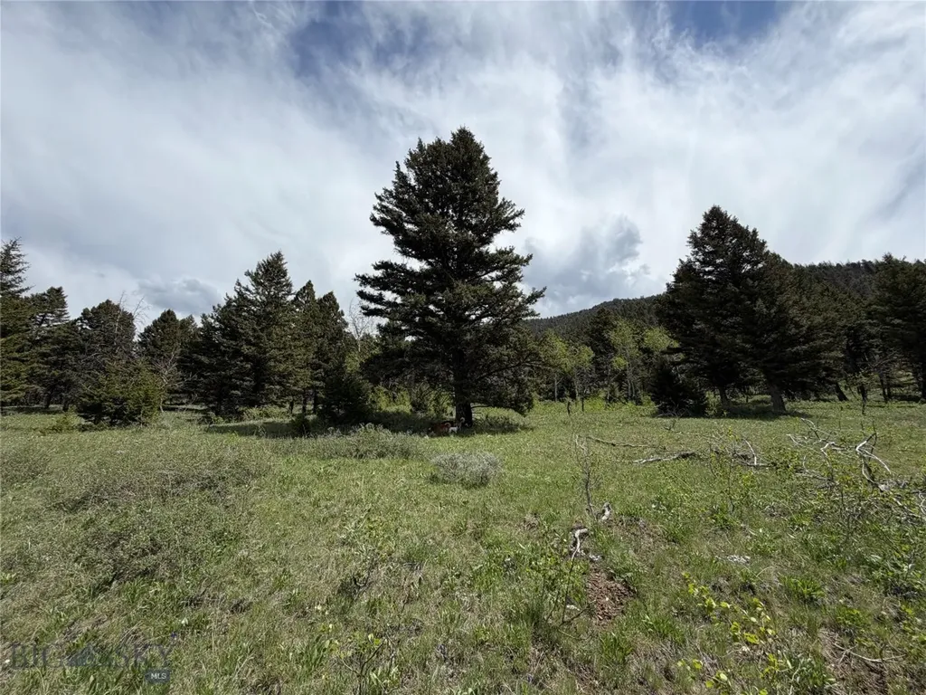 Parcel 2 & 4a Continental Divide Road Cameron MT 59720