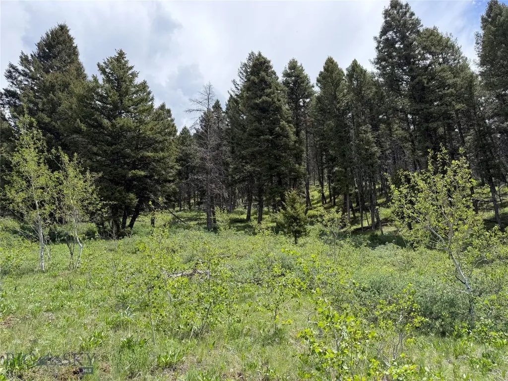 Parcel 2 & 4a Continental Divide Road Cameron MT 59720