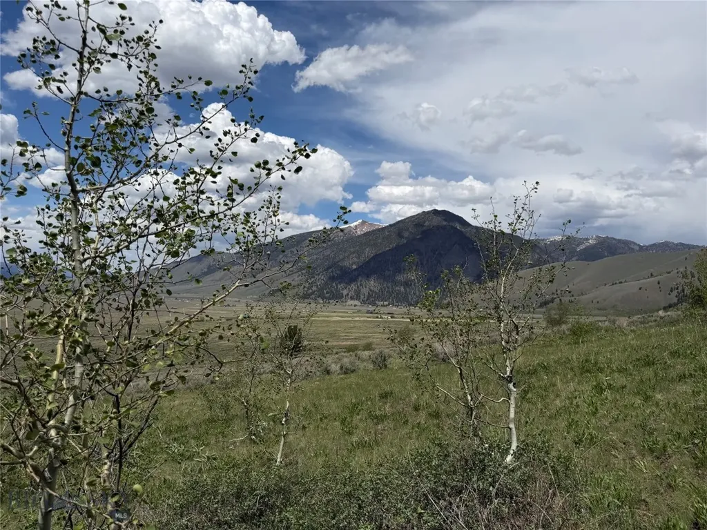 Parcel 2 & 4a Continental Divide Road Cameron MT 59720