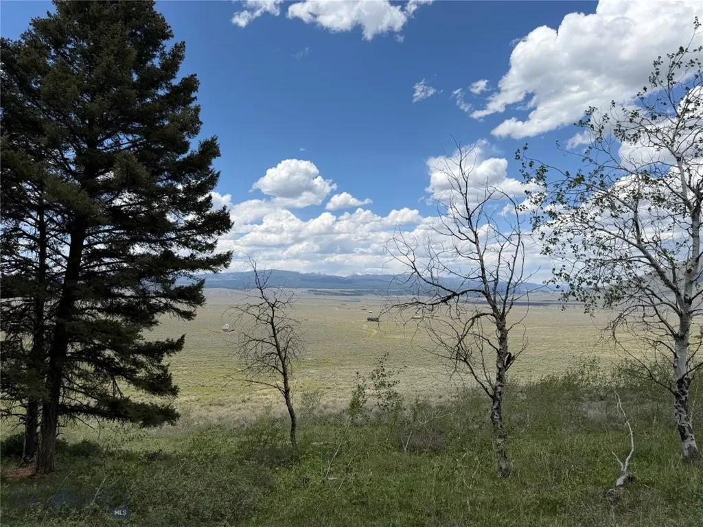 Parcel 2 & 4a Continental Divide Road Cameron MT 59720