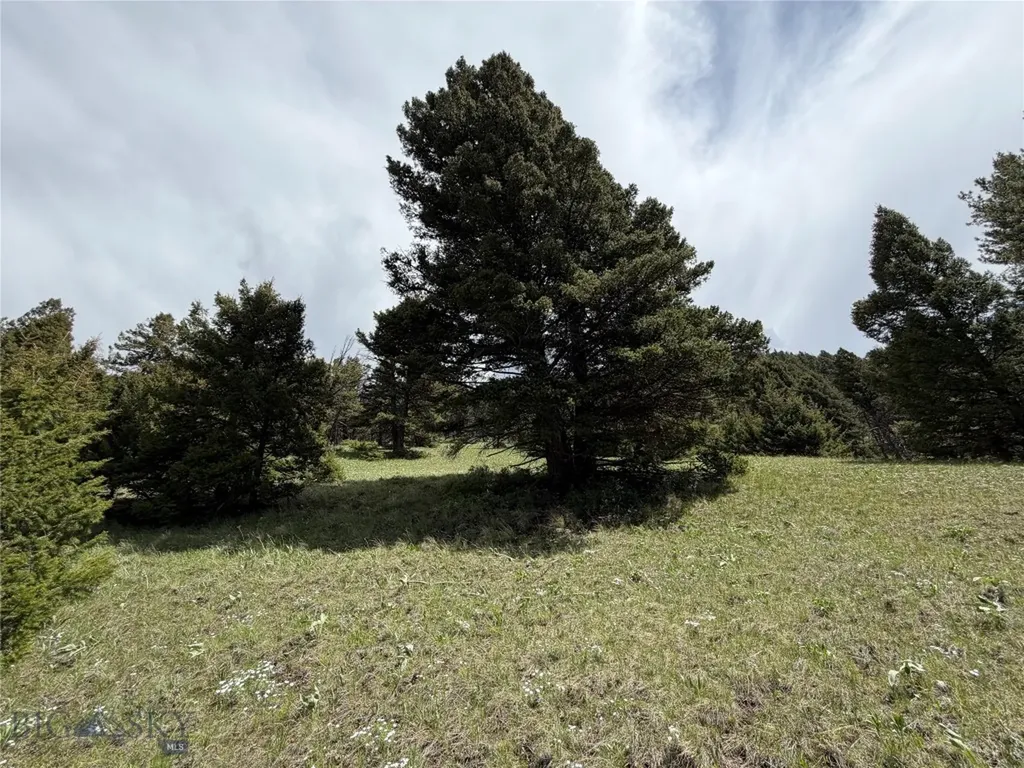 Parcel 2 & 4a Continental Divide Road Cameron MT 59720