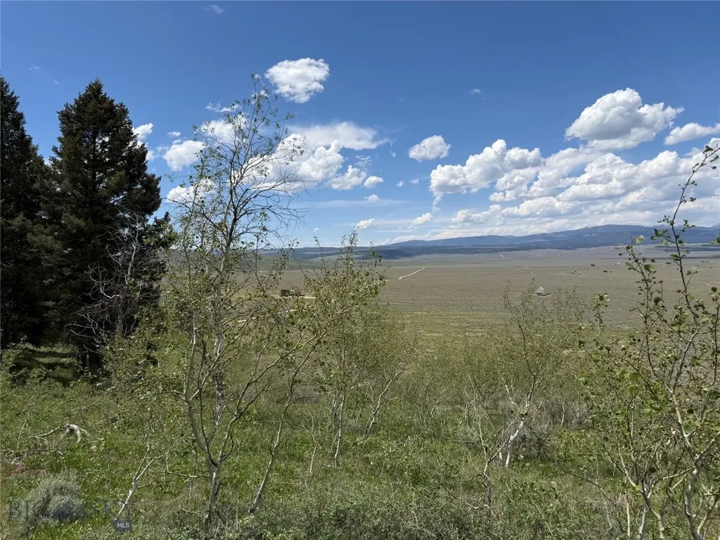 Parcel 2 & 4a Continental Divide Road Cameron MT 59720