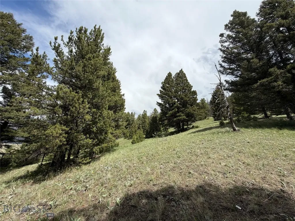 Parcel 2 & 4a Continental Divide Road Cameron MT 59720