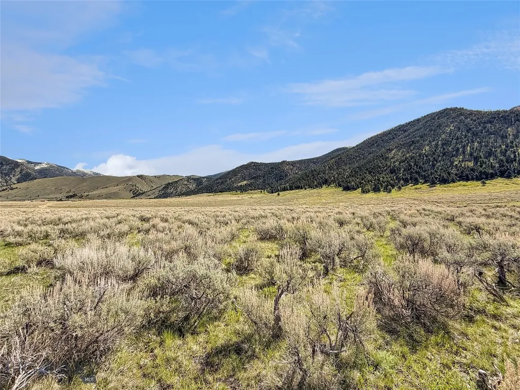 Parcel 2 & 4a Continental Divide Road Cameron MT 59720
