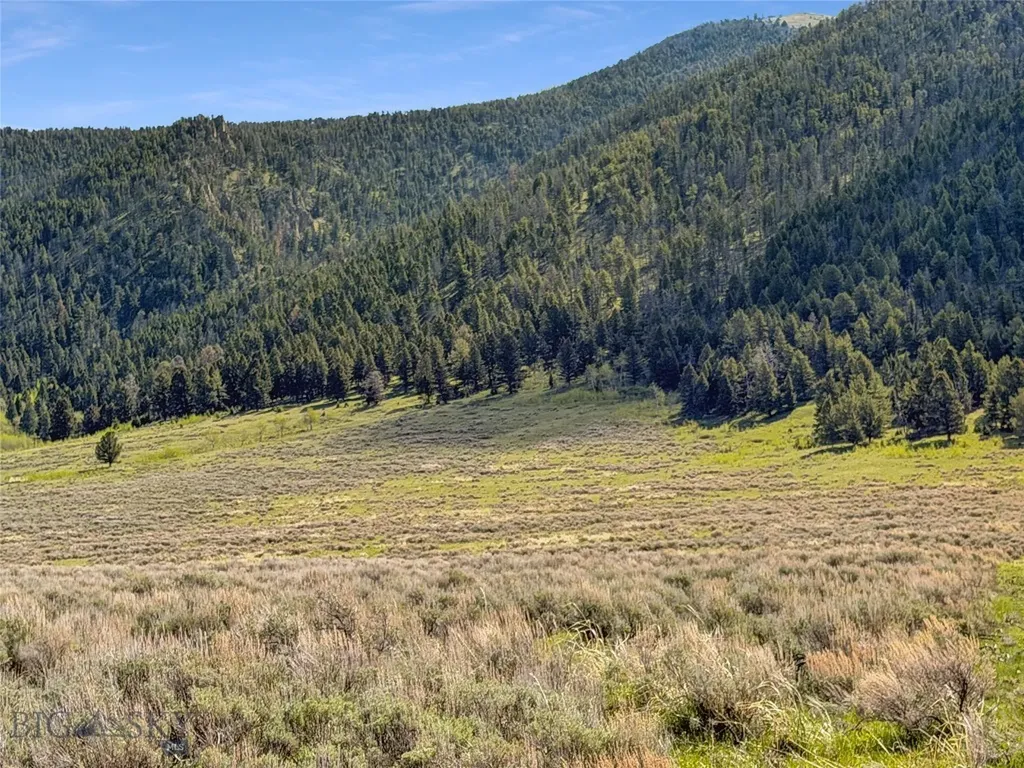 Parcel 2 & 4a Continental Divide Road Cameron MT 59720