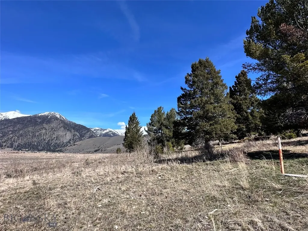 Parcel 2 & 4a Continental Divide Road Cameron MT 59720