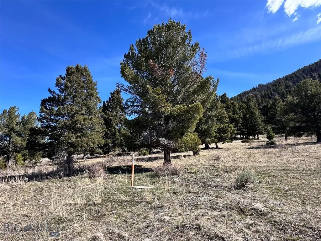 Parcel 2 & 4a Continental Divide Road Cameron MT 59720