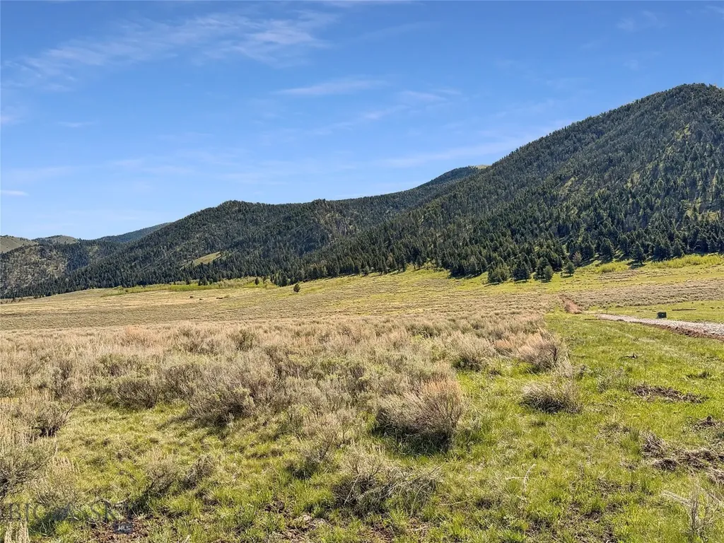 Parcel 2 & 4a Continental Divide Road Cameron MT 59720