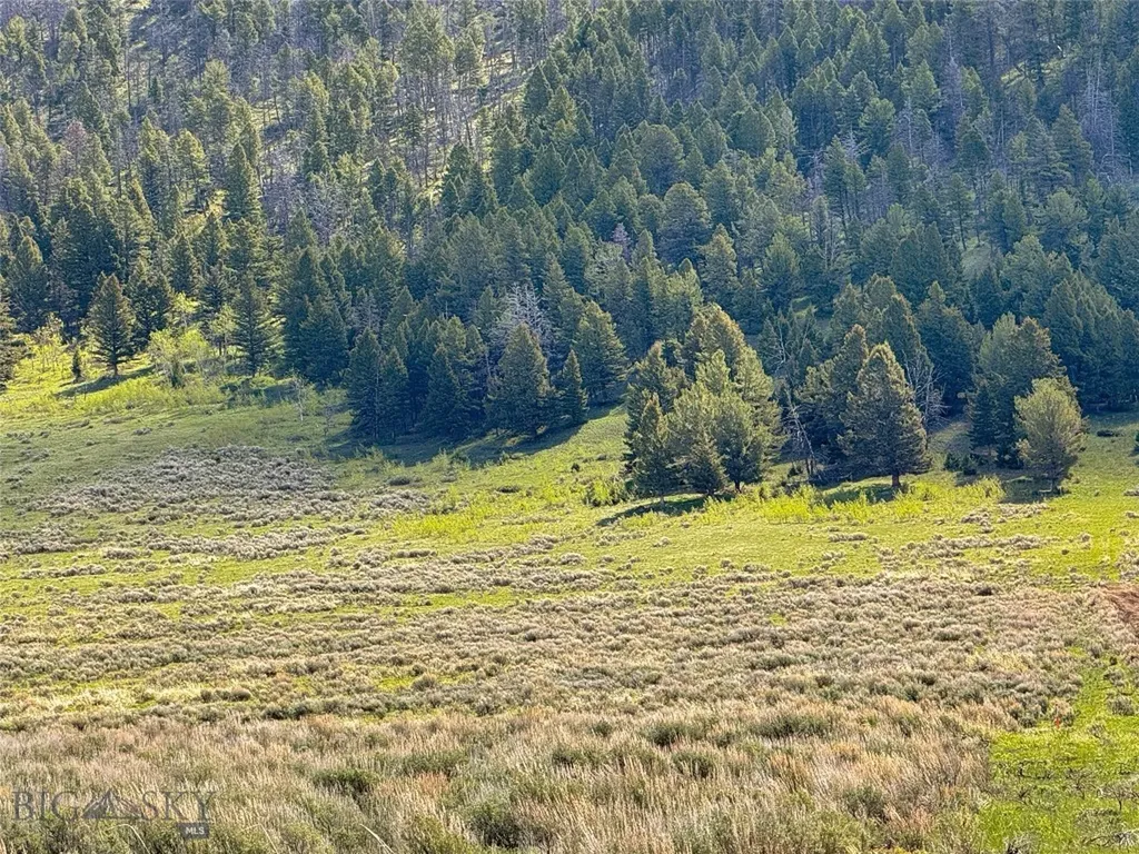 Parcel 2 & 4a Continental Divide Road Cameron MT 59720