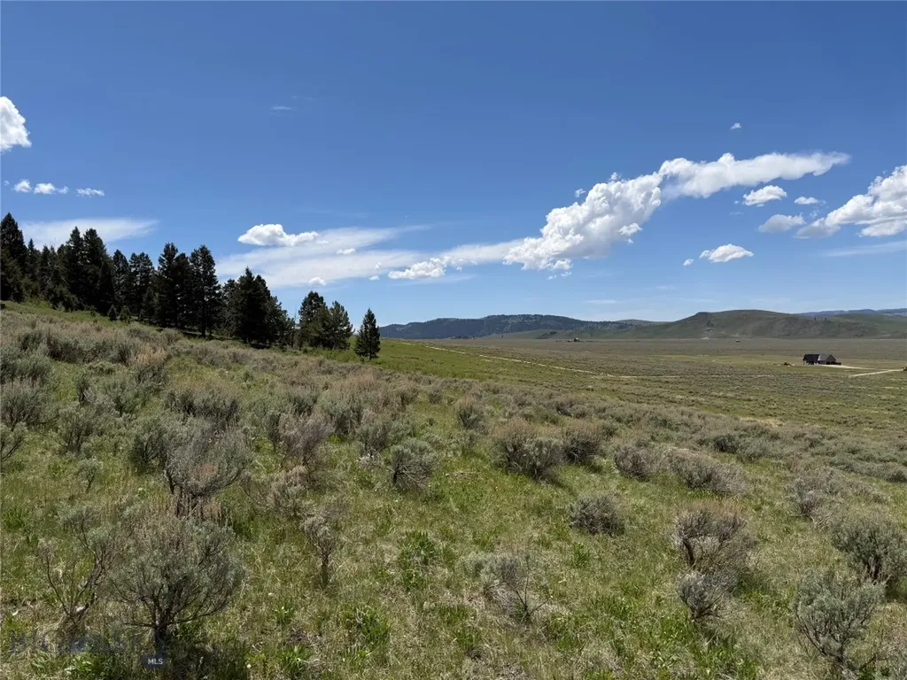 Parcel 2 & 4a Continental Divide Road Cameron MT 59720