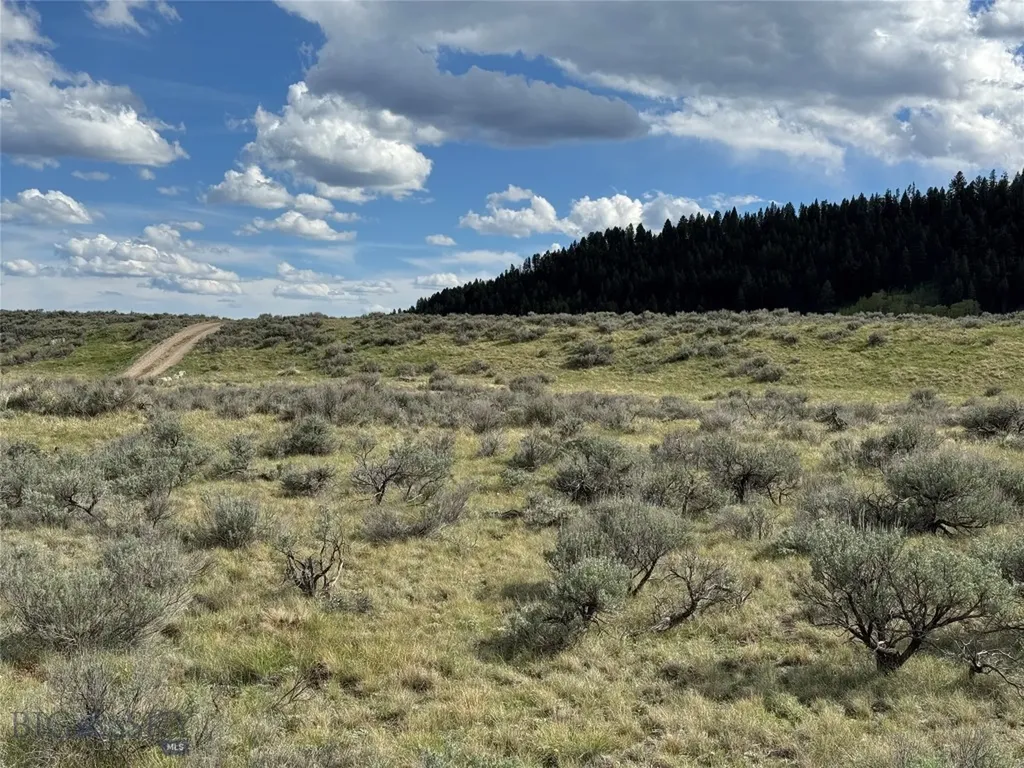 Lot 1 Sun Eagle Road Sundance Bench N Cameron MT 59720
