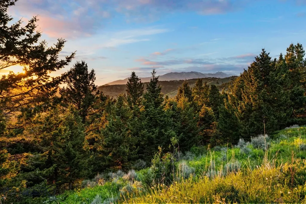942 Claim Creek Road Bozeman MT 59715