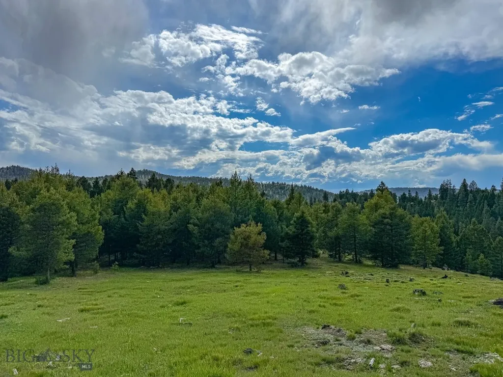 Nhn Hoover Creek Road Helmville MT 59843