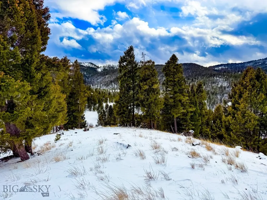 Nhn Hoover Creek Road Helmville MT 59843