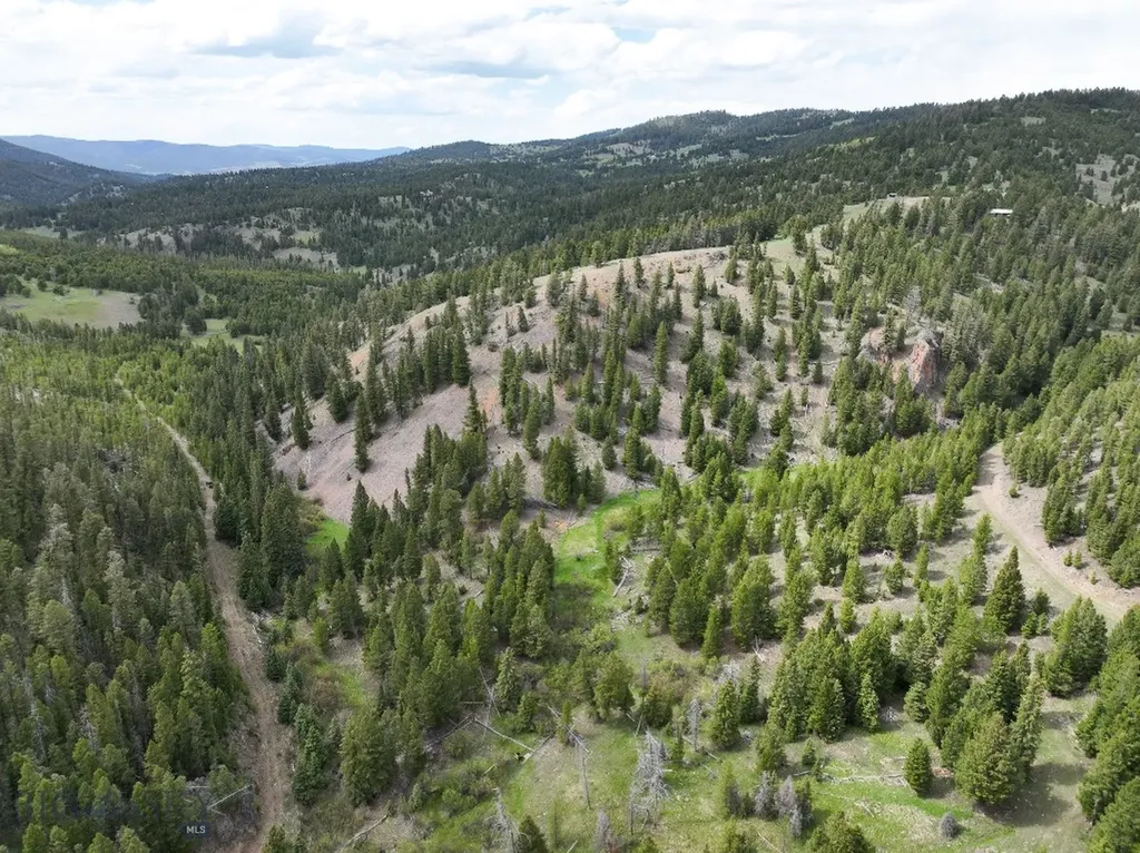 Nhn Hoover Creek Road Helmville MT 59843