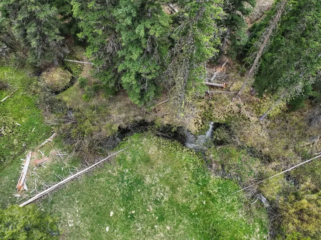 Nhn Hoover Creek Road Helmville MT 59843