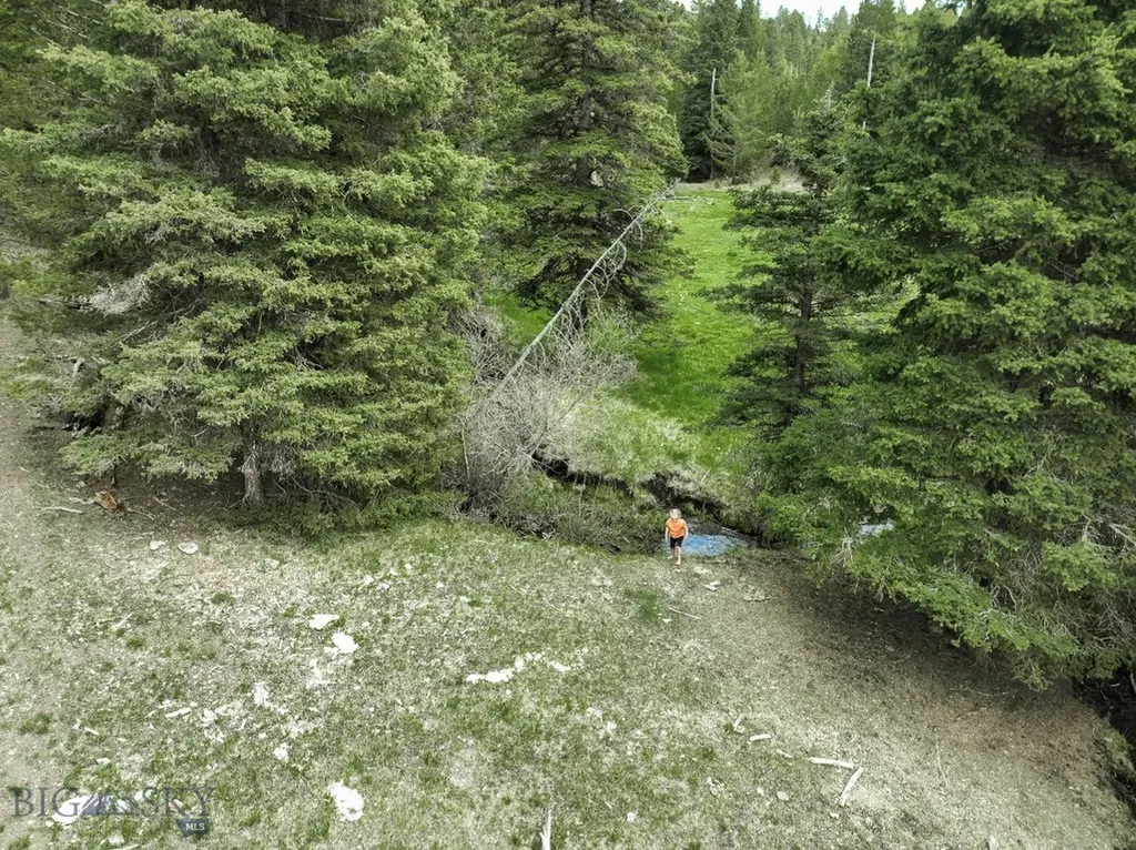 Nhn Hoover Creek Road Helmville MT 59843