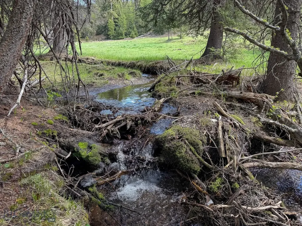 Nhn Hoover Creek Road Helmville MT 59843