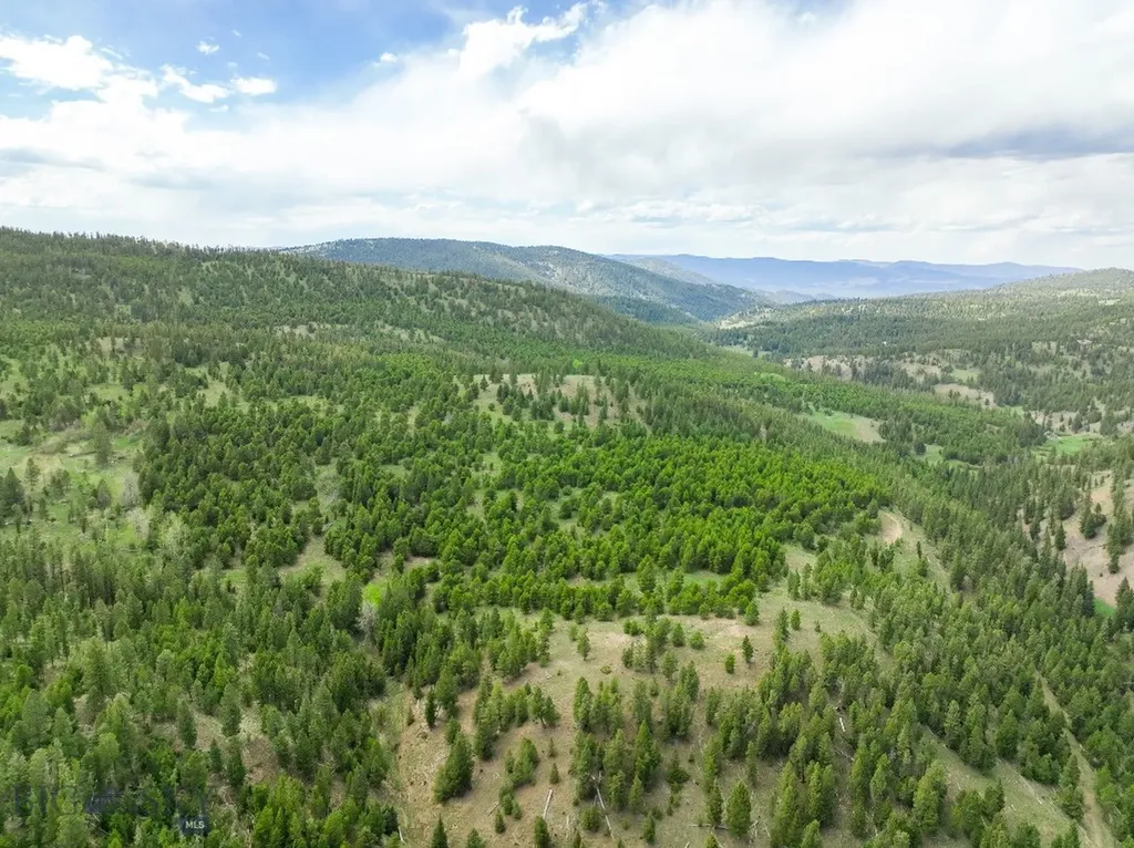 Nhn Hoover Creek Road Helmville MT 59843