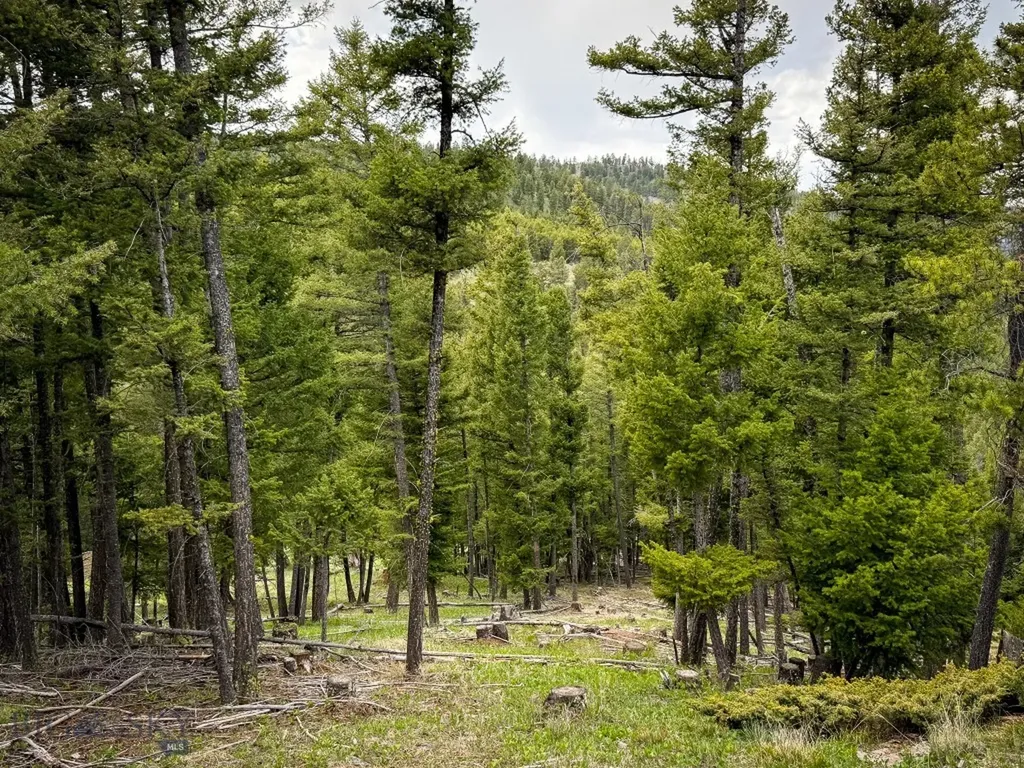 Nhn Hoover Creek Road Helmville MT 59843