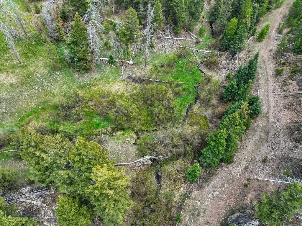 Nhn Hoover Creek Road Helmville MT 59843