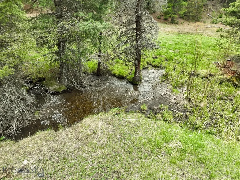 Nhn Hoover Creek Road Helmville MT 59843