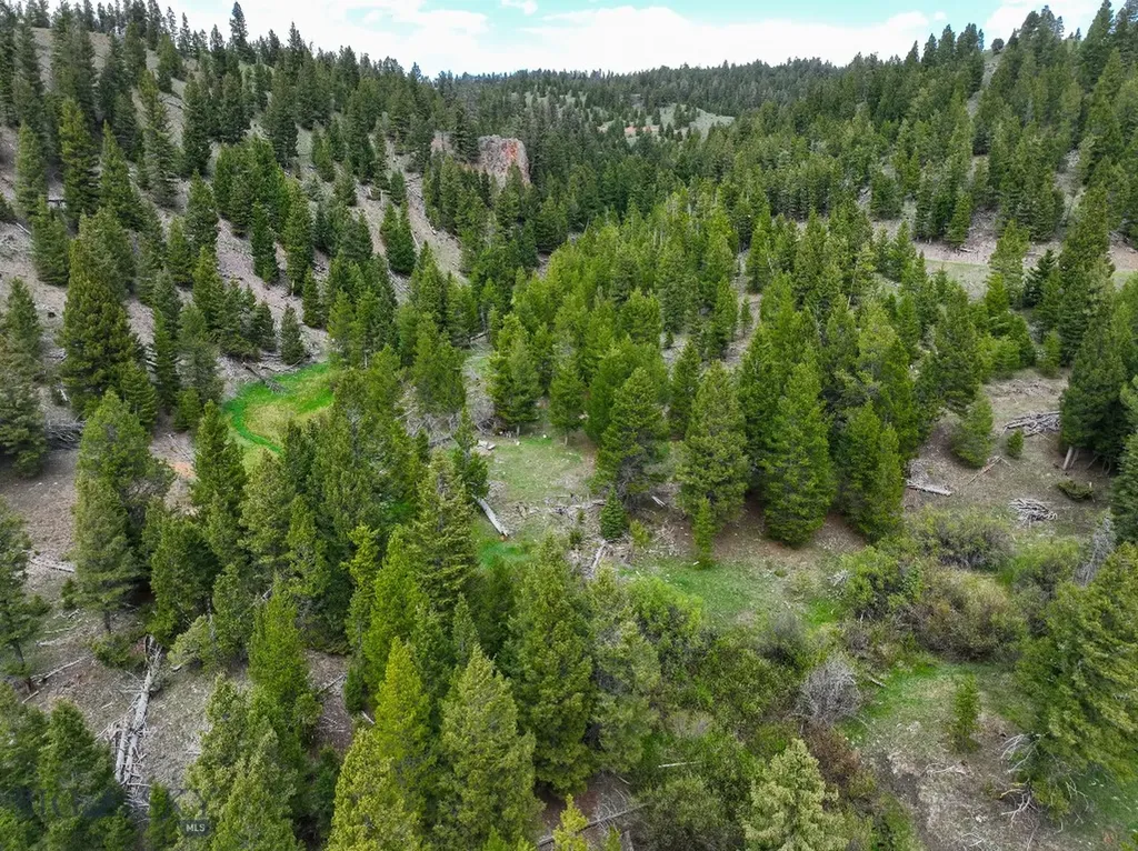 Nhn Hoover Creek Road Helmville MT 59843